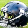 Seattle Seahawks Helmet