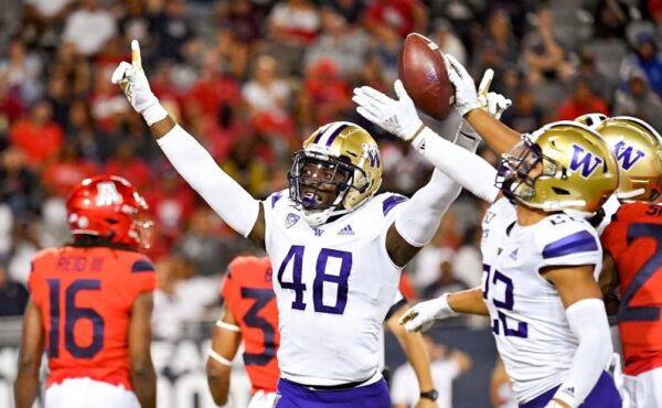 Washington Huskies Linebacker