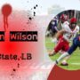 Payton Wilson NFL Draft 2024